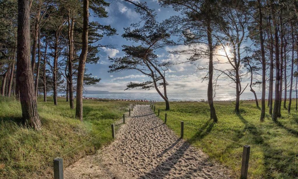 Direkt Am Strand Mit Meerblick Und Sauna - Fewo Strandidyll Binz Εξωτερικό φωτογραφία